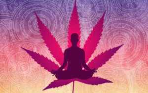 Lee más sobre el artículo GANJA YOGA