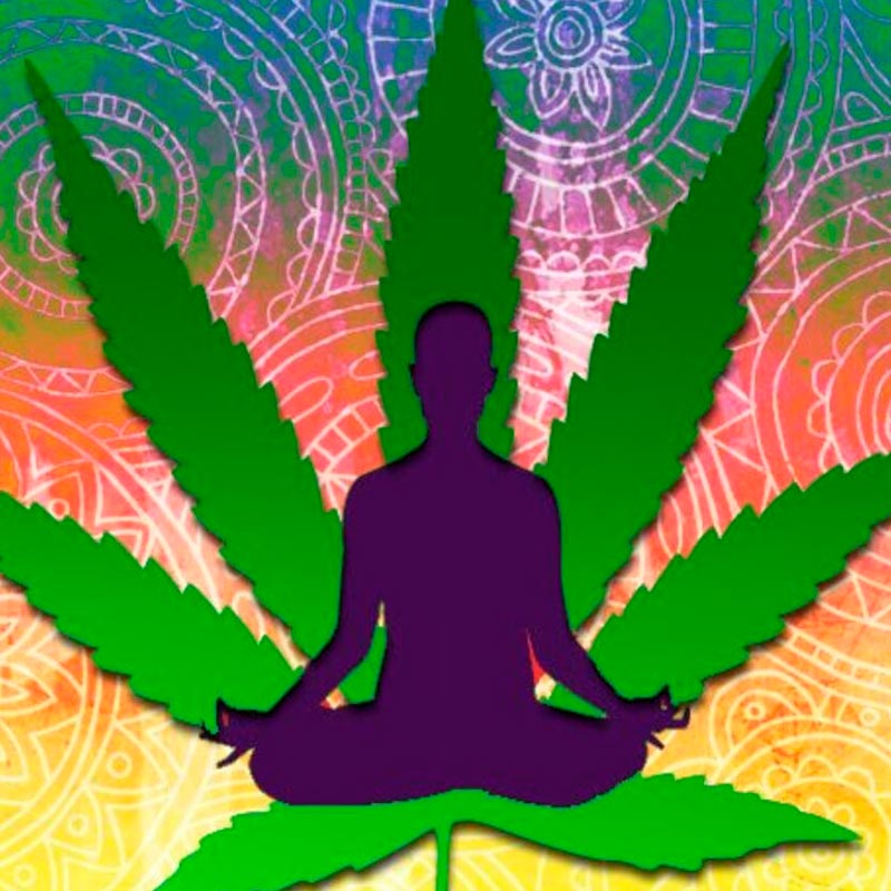 En este momento estás viendo Ganja Yoga