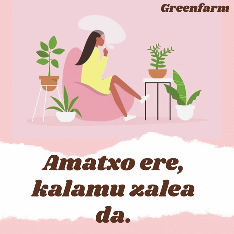 En este momento estás viendo Amatxo ere, kalamu  zalea da.