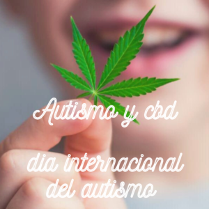 Lee más sobre el artículo Autismoaren Nazioarteko Eguna