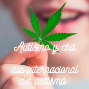Lee más sobre el artículo Autismoaren Nazioarteko Eguna