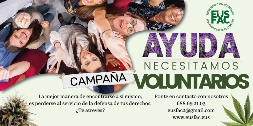 Ayuda-voluntarios-web